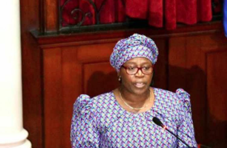 The Fight Between The IFP and ANC Continues